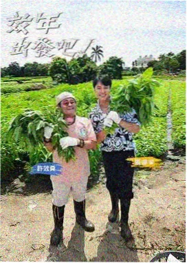 VIP影院音乐选秀综艺声浪计划海报